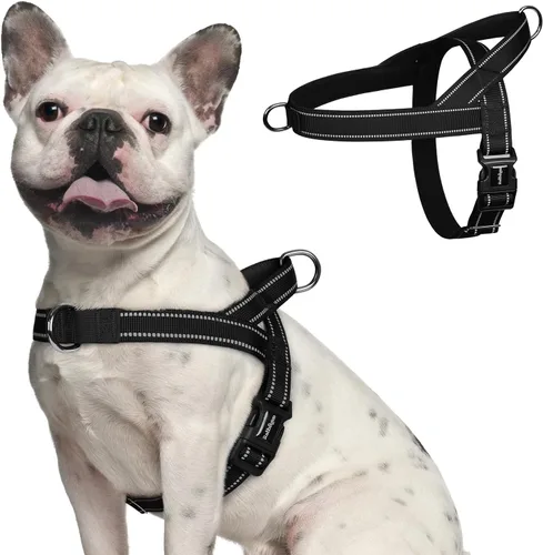 rabbitgoo Arnés para perro sin tirones, ajuste rápido para perros de tamaño mediano con mango acolchado suave, chaleco reflectante ajustable en el
