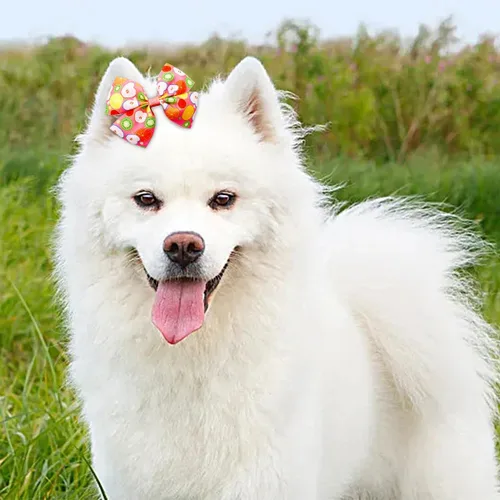 Miniatura 7 de 24 piezas/12 pares 10 cm Lazos para el pelo de perro grande con fruta de verano para perros de raza grande Bandas elásticas Lazo de pelo de perra