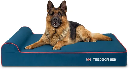 Miniatura 38 de The Dog's Bed - Cama Ortopédica para Perros con Reposacabezas XL Negra de Felpa, Espuma Viscoelástica, Alivio del Dolor para Artritis, Displasia