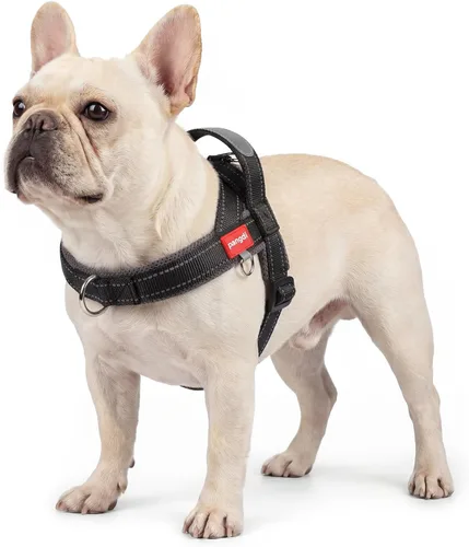Miniatura 11 de Arnés para perro sin tirón con asa, chaleco reflectante ajustable Corgi, arnés para mascotas acolchado con malla de aire transpirable con clip