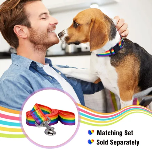 Miniatura 5 de Native Pup Collar de perro con bandera de arco iris, artículos de orgullo gay para desfile, banderas LGBTQ igualdad para mascotas, regalo
