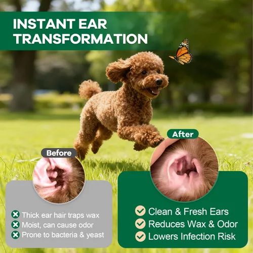 Miniatura 7 de Herramienta de depilación de orejas de perro, polvo fácil de arrancar las orejas para perros, polvo mejorado para orejas de perro, hemostáticos