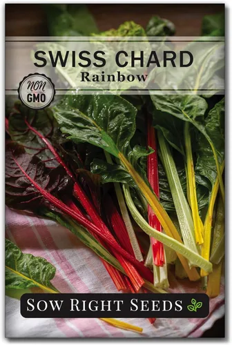 Sow Right Seeds - Semillas de acelga arcoíris para plantar - Paquete de reliquia sin OMG con instrucciones para plantar y cultivar un huerto casero