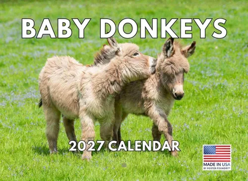 Miniatura 166 de Calendario alpaca 2026, calendario mensual de pared de 12 meses Hecho en Estados Unidos.