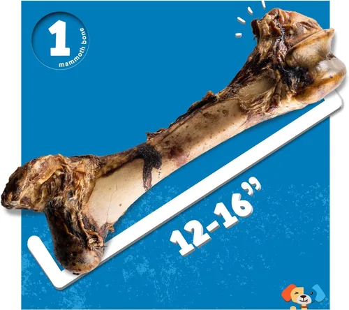 Miniatura 6 de Jack&Pup Mammoth - Huesos grandes para perros grandes, huesos de carne de fémur de 15 pulgadas para masticadores agresivos, hueso de perro gigante