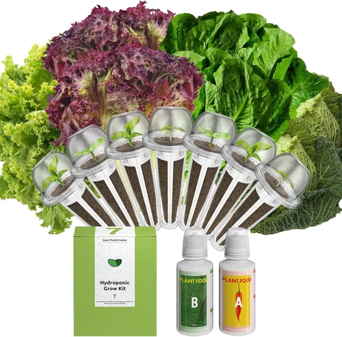 Miniatura 10 de inbloom Kit de vainas de semillas verdes para ensalada orgánica para AeroGarden, sistema de cultivo hidropónico Ahopegarden, alimento bajo