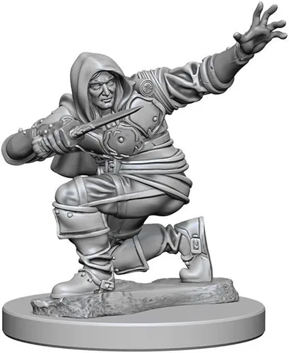 Pathfinder Deep Cuts Unpainted Miniatures: Wave 1: Human Male Rogue