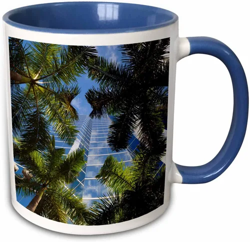 Miniatura 10 de 3dRose Estados Unidos, Florida, Miami, Brickell Avenue, edificios de gran altura. Taza negra de dos tonos de 11 oz Negro