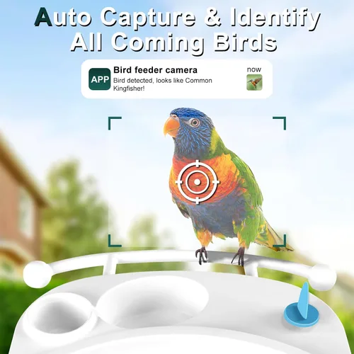 Miniatura 3 de Comedero inteligente para pájaros con cámara AI para identificar especies de aves, vista en vivo, observación de aves, captura automática de videos