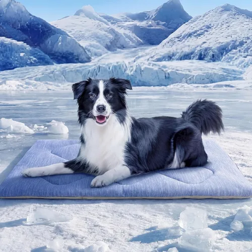 Miniatura 10 de ASENKU Tapete refrescante para perros, portátil y duradero, absorción física del calor, cama refrescante antideslizante y transpirable de verano Azul
