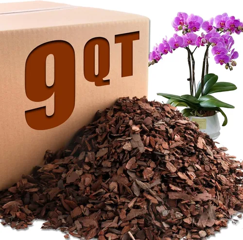 Miniatura 11 de AVALUTION Corteza para macetas de orquídeas: corteza de orquídea orgánica de 3 cuartos para plantas, todos los chips de madera de corteza de pino