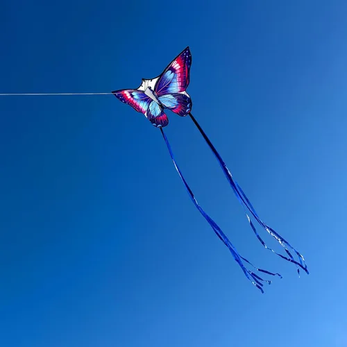 Miniatura 4 de Cometas de mariposa para niños y adultos, fácil de volar, cometa grande de una sola línea para niños y niñas, cometa de playa de 55 x 28 pulgadas