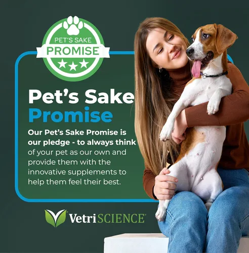 Miniatura 8 de VetriScience Masticables de fuerza veterinaria calmados y seguros, suplemento de estrés para gatos, apoya la función cerebral para gatos