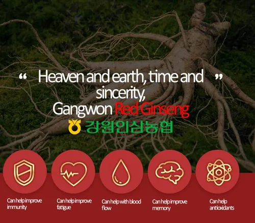 Miniatura 8 de Gangwoninsam ] Extracto de ginseng rojo coreano de oro, 17.64 oz / 17.63 onzas líquidas – Contiene extracto de raíz de ginseng rojo coreano 100%