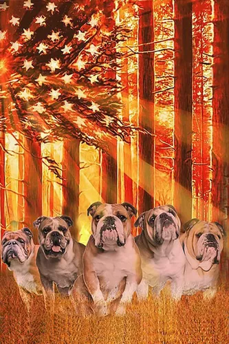 Rompecabezas de 1000 piezas de Bulldog Inglés Bandera Sol, Póster Educativo, Juego Familiar, Regalo para Adultos y Niños, Perfecto para la Familia o
