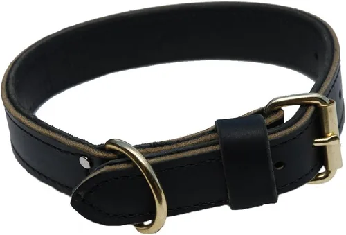 Ray Allen Mfg Signature K9 Collar de agitación de 1-1/2 pulgadas, color negro