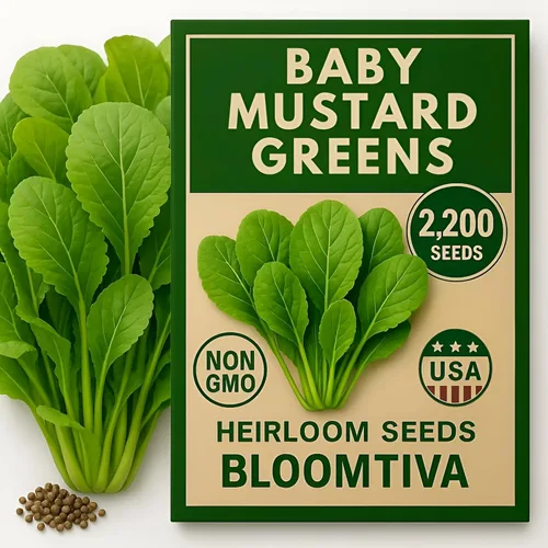 Miniatura 11 de Semillas de lechuga romana – Parris Island Cos, más de 8000 semillas reliquia sin OGM, paquete a granel de alta germinación, cultivadas en EE.UU.