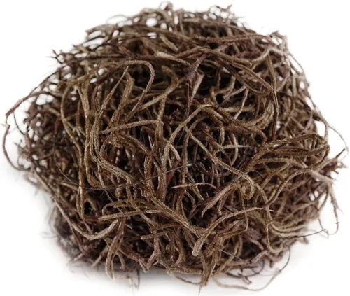 Miniatura 2 de SuperMoss (26956) Musgo español preservado – Musgo decorativo para manualidades, plantas en maceta, jardines de hadas, relleno de jarrón, arreglos