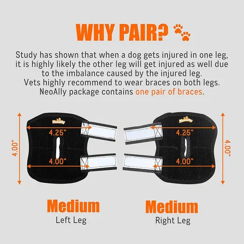 Miniatura 3 de NeoAlly Soportes de perro de gran apoyo para articulación trasera de corvejón con tiras de resorte de metal duales estabilizan las patas traseras