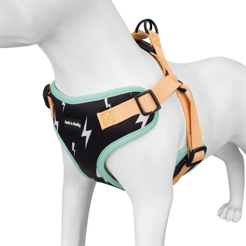 Miniatura 9 de Jack & Bully Arnés para perro, chaleco sin tirones, de neopreno ajustable, suave con malla transpirable, para todo tipo de clima, bulldog francés