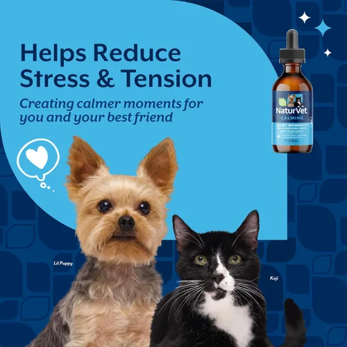 Miniatura 3 de NaturVet Quiet Moments - Gotas calmantes para gatos y perros – Ayuda a reducir el estrés de las mascotas, promueve la relajación – Suplemento