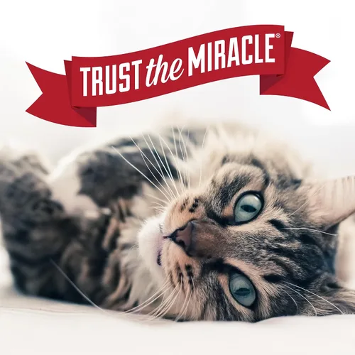 Miniatura 8 de Nature's Miracle Air Care, Spray para tela y superficie con aroma a lluvia de aloe y desodorante eliminador de olores de mascotas, 24 onzas líquidas