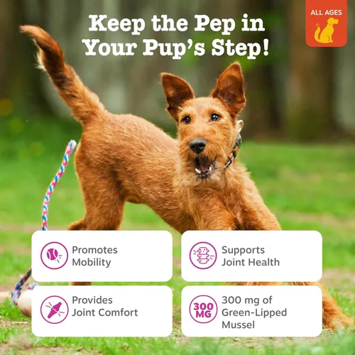 Miniatura 3 de Zesty Paws Bocaditos de Movilidad de Mejillón para Perros - Mejillón de Labios Verdes de Nueva Zelanda con Glucosamina Natural y Condroitina +