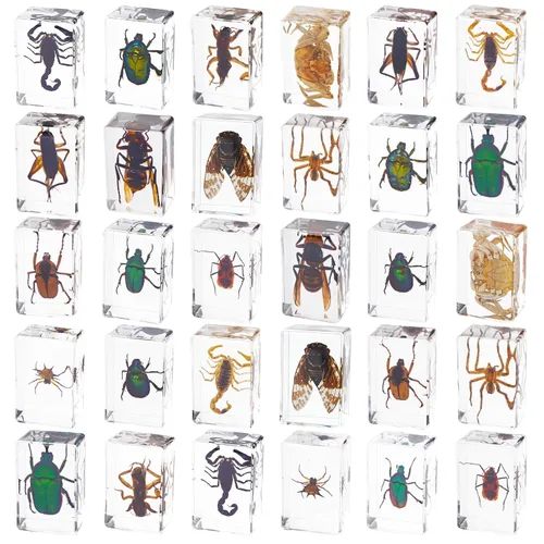 30 piezas de insectos en resina colección de insectos pisapapeles, varios insectos de taxidermia preservados en resina para niños, suministros de
