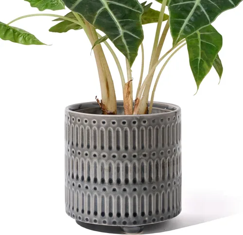 Miniatura 9 de STHIE Macetas de cerámica de 5 pulgadas para plantas de interior, macetas de serpiente de cactus azules con drenaje, maceta redonda de diseño único