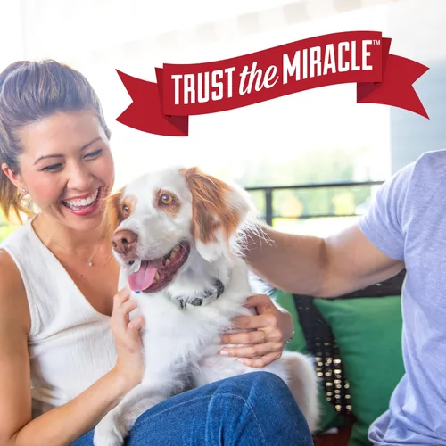 Miniatura 9 de Nature's Miracle Destructor de manchas para desorden de perros, 24 onzas, fórmula Oxy con aroma a naranja