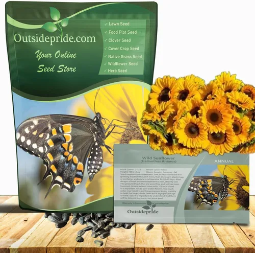 Outsidepride Semillas de girasol silvestres para plantar, semillas de flores anuales fáciles de cultivar con flores vibrantes y abundantes para
