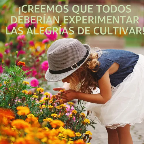 Miniatura 8 de Colección Wildflower Seeds - Más de 500,000 semillas a granel - 6 mezclas diferentes incluyendo colibrí y mariposa, Save The Monarchs, Save The