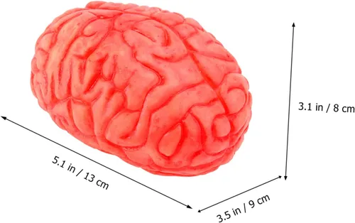 Miniatura 4 de ARTIBETTER Halloween partes del cuerpo zombi cerebro halloween Cerebro decoración accesorios fiesta accesorios falsos decorar prótesis mano prótesis