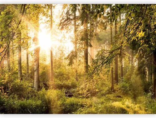 Miniatura 17 de artgeist Mural de pared premium Bosque púrpura, 79 x 55 pulgadas, papel tapiz no tejido, decoración de pared de vellón, impresión fotográfica