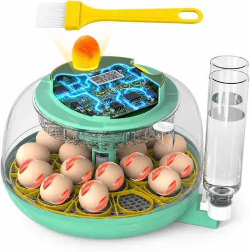 Incubadora de 18 huevos con giro automático de huevos y control de humedad, incubadora de huevos de pollo, incubadora de vista grande para huevos de