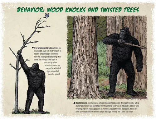 Miniatura 4 de Calendario Bigfoot 2024 – Calendario de pared de 12 meses – 11 x 19 pulgadas abierto – Ideal para la oficina o cabina – Regalo divertido