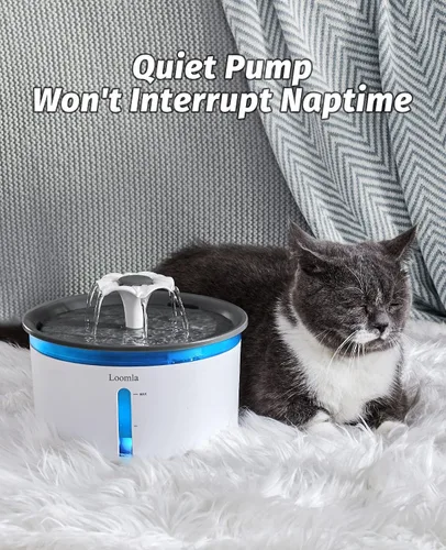 Miniatura 4 de Loomla Fuente de agua para gatos, fuente de agua para mascotas de 85 onzas / 2.5 litros en interiores, dispensador automático de agua para perros