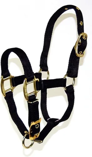 Miniatura 14 de Hamilton Caballo de lujo Halter, nailon de triple capa de 3/4 pulgadas con correa ajustable para la barbilla, potro o mini caballo, 100-200 libras