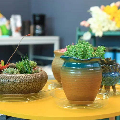 Miniatura 7 de Paquete de 30 platillos transparentes para plantas en interiores (4, 6, 8, 10, 12 pulgadas) platillos para macetas para plantas en maceta, juego