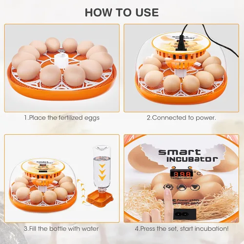 Miniatura 7 de Incubadora de 12 huevos con giro automático de huevos y control de temperatura, adición automática de agua, vela LED de huevos, incubadoras