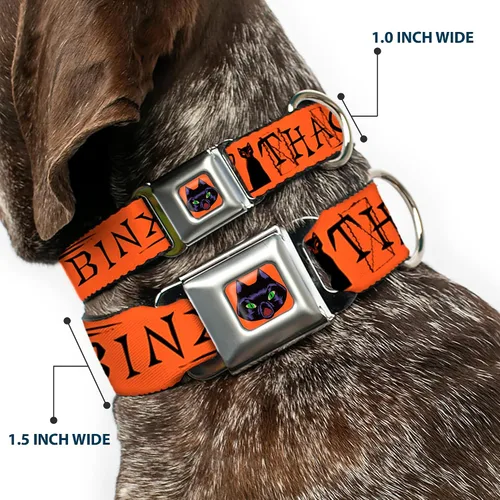 Miniatura 2 de Buckle-Down Collar de perro Hebilla de cinturón de seguridad Hocus Pocus Thackery Binx Cat Silhouette Naranja Negro, 1 pulgada de ancho - Se adapta