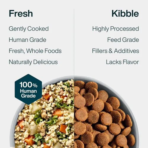 Miniatura 8 de JustFoodForDogs Pantry Fresh - Alimento húmedo para perros, comida completa o alimento para perros, para salud de las articulaciones, salud
