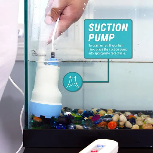 Miniatura 6 de TERA PUMP Bomba de agua sumergible eléctrica para tanque de peces de 12 V con manguera de descarga de 30 pies y entrada de malla filtrada, bomba