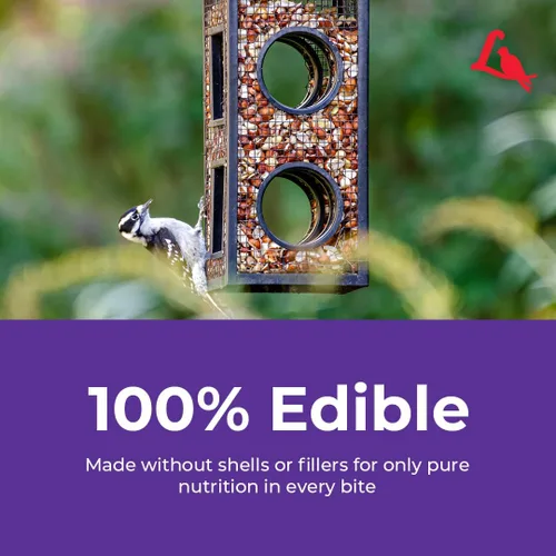 Miniatura 8 de Lyric Delite Semillas de aves silvestres – Mezcla de alimentos para pájaros sin desperdicios con nueces y semillas sin cáscara – Atrae banderines