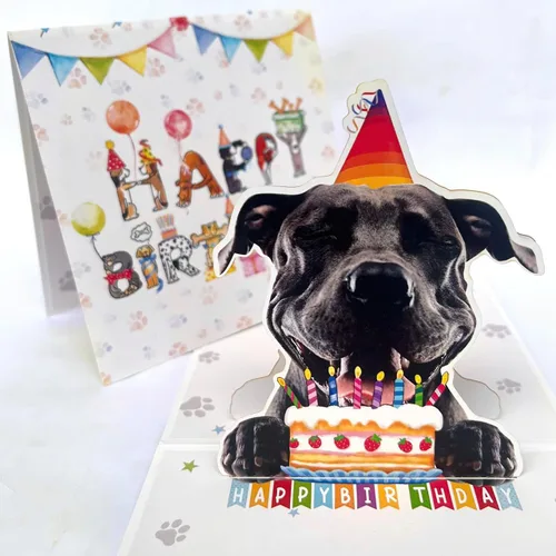 Miniatura 2 de Tarjeta de Cumpleaños 3D Pop-Up American Pit Bull Terrier Dog – Lindo perro American Pit Bull Terrier con celebración de pastel, saludo de feliz