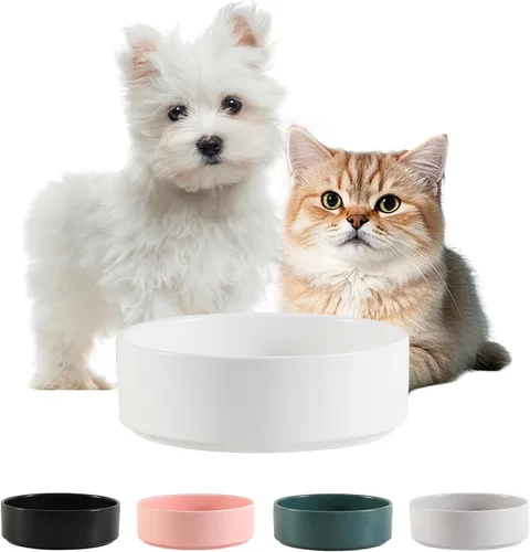 Cuenco de cerámica para perros para comida y agua, cuenco comedero para mascotas para perros pequeños a medianos y gatos de interior, plato de Blanco