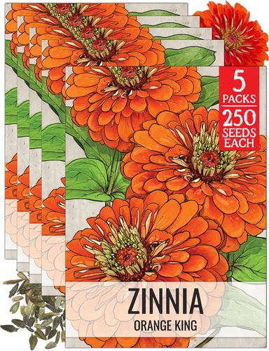 Miniatura 12 de Seed Needs California Giants - Semillas de zinnia – 250 semillas tradicionales para plantar Zinnia elegans – Cultiva flores anuales polinizadas