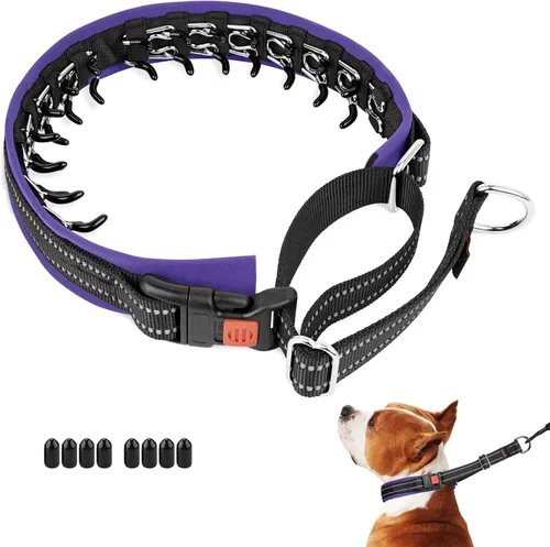 Miniatura 7 de Mayerzon Collar de Perro sin Tirones, Collar de Martingala Patentado para Perros Pequeños, Medianos y Grandes con Hebilla y Nylon Resistente