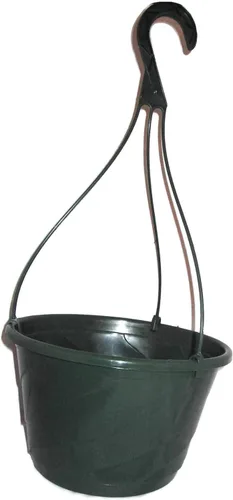 Cesta colgante de remolino Contempo de 10 pulgadas de diámetro, verde o blanco (5, verdeq)