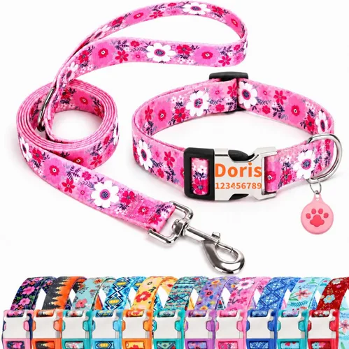 Juego de collares de perro personalizados personalizados con correa de aire y soporte para etiqueta de aire con placa de identificación grabada,